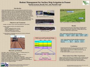 Rodent Management for Surface Drip Irrigation in Peanut