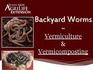 Backyard Worms Vermiculture Vermicomposting Darwin Earthworms The plow