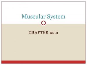 Muscular System CHAPTER 45 3 Muscular System Major