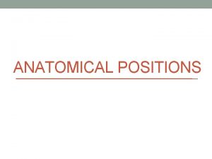 ANATOMICAL POSITIONS Anatomical Position Anatomical position Body erect