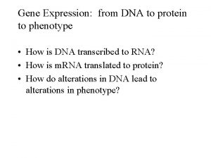 Gene Expression from DNA to protein to phenotype