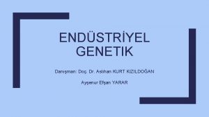 ENDSTRYEL GENETIK Danman Do Dr Aslhan KURT KIZILDOAN