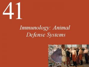 41 Immunology Animal Defense Systems Chapter 41 Key