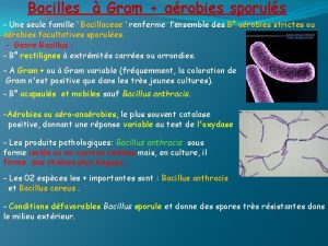 Bacilles Gram arobies sporuls Une seule famille Bacillaceae