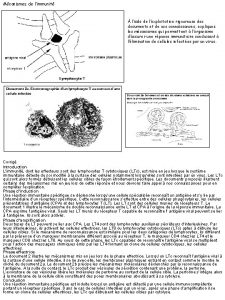 Mcanismes de limmunit laide de lexploitation rigoureuse des