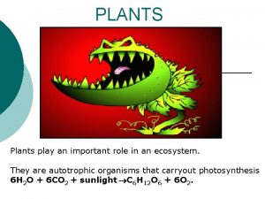 PLANTS Plants play an important role in an