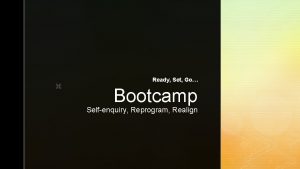z Ready Set Go Bootcamp Selfenquiry Reprogram Realign
