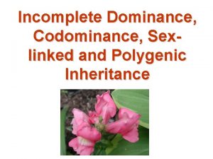 Incomplete Dominance Codominance Sexlinked and Polygenic Inheritance Incomplete