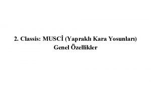 2 Classis MUSC Yaprakl Kara Yosunlar Genel zellikler