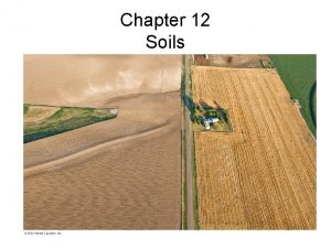 Chapter 12 Soils Overview Soil Regolith Soil components