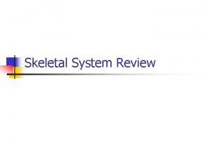 Skeletal System Review True or False 1 True