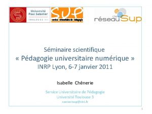 Sminaire scientifique Pdagogie universitaire numrique INRP Lyon 6