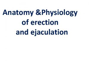 Anatomy Physiology of erection and ejaculation The penile