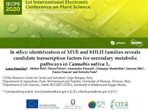 In silico identification of MYB and b HLH