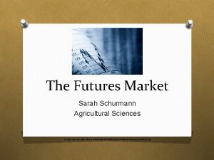 The Futures Market Sarah Schurmann Agricultural Sciences Image