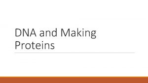 DNA and Making Proteins DNA Structure and Function