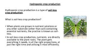 Hydroponic crop production is a type of soilless