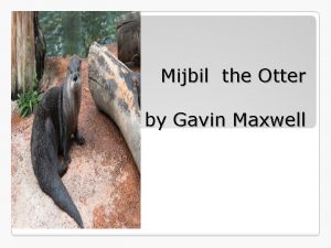Mijbil the Otter by Gavin Maxwell Gavin Maxwell