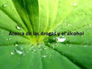 Acerca de las drogas y el alcohol Efesios