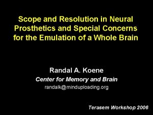 Scope and Resolution in Neural Prosthetics and Special