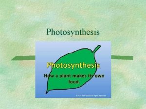 Photosynthesis PHOTOSYNTHESIS Autotrophic Process Plants and plantlike organisms