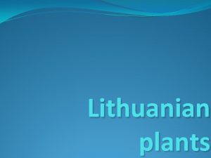 Lithuanian plants Trees Lithuanian forests is one of