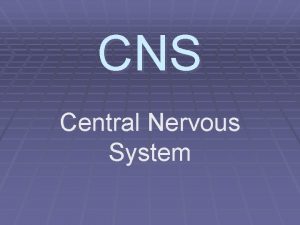 CNS Central Nervous System CNS Brain and Spinal