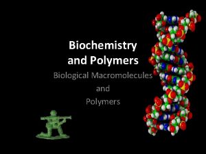 Biochemistry and Polymers Biological Macromolecules and Polymers Standards