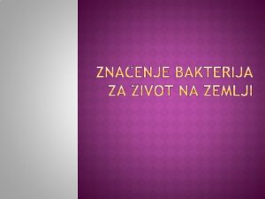 Bakterije su najbrojnija skupina organizama Veina ih je