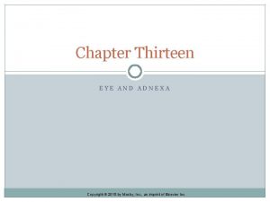 Chapter Thirteen EYE AND ADNEXA Copyright 2015 by