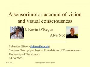 A sensorimotor account of vision and visual consciousness