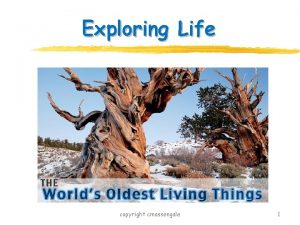 Exploring Life copyright cmassengale 1 Themes Help to