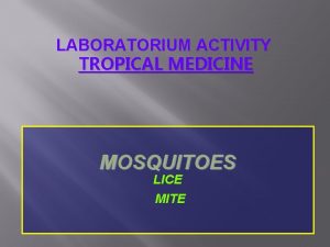 LABORATORIUM ACTIVITY TROPICAL MEDICINE MOSQUITOES LICE MITE MOSQUITOES