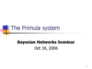 The Primula system Bayesian Networks Seminar Oct 19