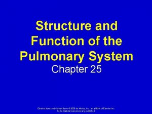 Structure and Function of the Pulmonary System Chapter