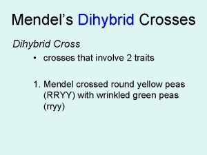 Mendels Dihybrid Crosses Dihybrid Cross crosses that involve