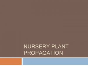 NURSERY PLANT PROPAGATION Nursery Propagation Practices Why use