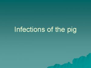 Infections of the pig Viral infections of the