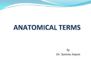 ANATOMICAL TERMS by Dr Samina Anjum DISCIPLINES OF