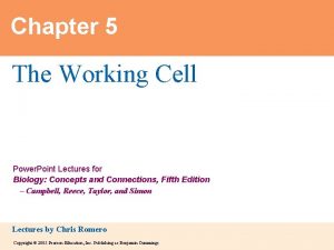 Chapter 5 The Working Cell Power Point Lectures Chapter 5 The Working Cell Power Point Lectures