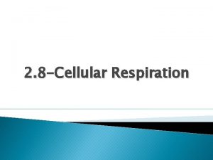 2 8 Cellular Respiration Understanding Cell respiration is