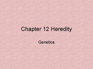 Chapter 12 Heredity Genetics A Heredity is the