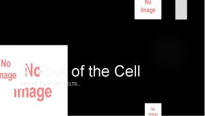 A Tour of the Cell FASTEN YOUR SEATBELTS