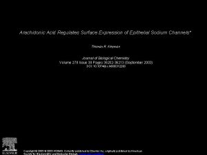 Arachidonic Acid Regulates Surface Expression of Epithelial Sodium