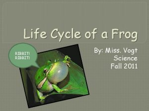 Life Cycle of a Frog RIBBIT By Miss
