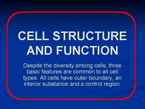 CELL STRUCTURE AND FUNCTION Despite the diversity among