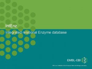 Int Enz Integrated relational Enzyme database EBI is