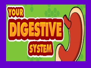 Fun Facts on Digestion Stomach growling Intestines contracting