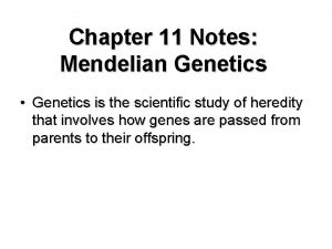 Chapter 11 Notes Mendelian Genetics Genetics is the