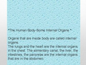 The Human BodySome Internal Organs Organs that are